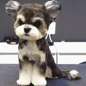 国产大鸡巴野外强奸美女视频
