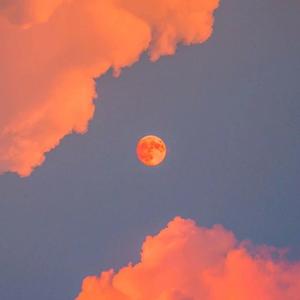 国产大鸡巴野外强奸美女视频
